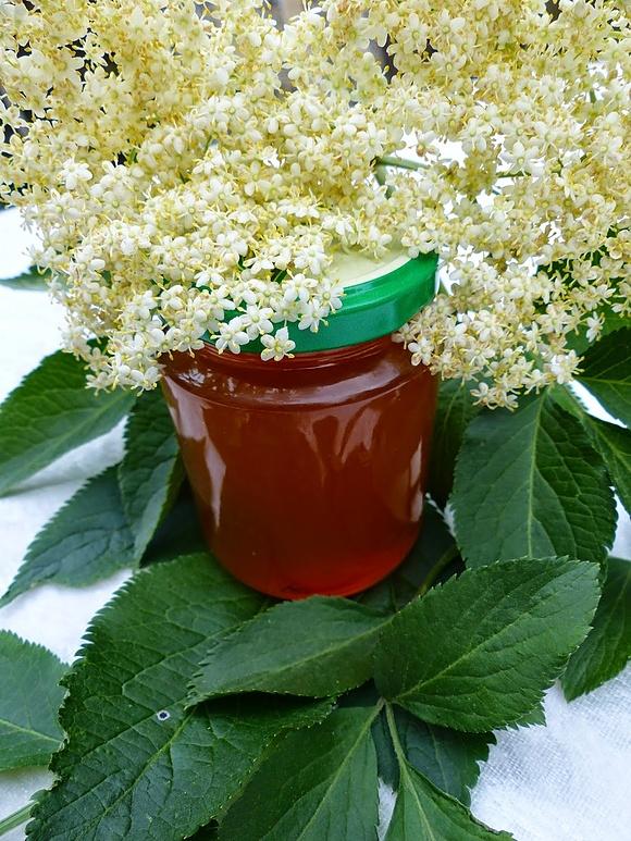 Apfel und Holunderblüten Gelee