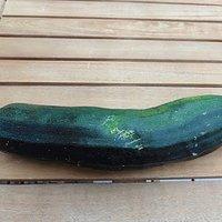 Zucchini-Puffer mit Feta und Minze