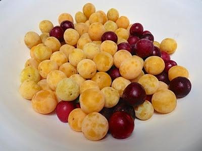 Tkemali georgische Kriecherlsauce