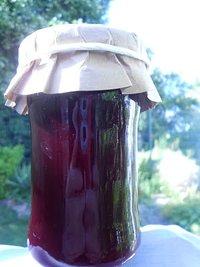 Rotes Johannisbeergelee mit Zitronen ~ Minze