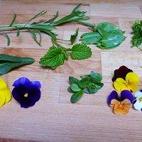 Griaß di-Frühling-Salat