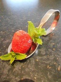 Selbstgemachter Erdbeer ~ Balsamico ~ Balsam