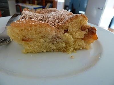 Erster Marillenkuchen