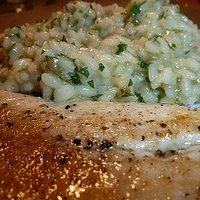 Zitronen-Kapern-Risotto mit Saiblingsfilets