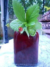 Erdbeer ~ Basilikum ~ Sirup