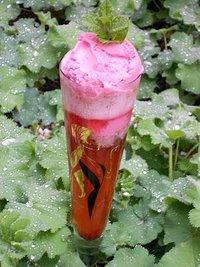 Erdbeersorbet auf Fragola Wild Strawberry Liqueur  & Crémant