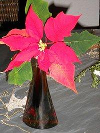 Cranberry ~ Essig