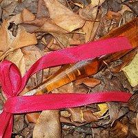 Anis ~  Kräuterschnaps
