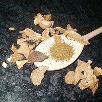 Waldpilz ~ Salz