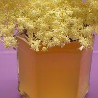 Holunderblüten ~ Gelee mit Pinot Noir