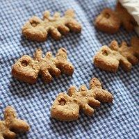 Hundekekse rezept: thunfisch fischli