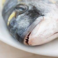 Gegrillte dorade und tintenfischringe mit tomatensalat und marinierter zucchini