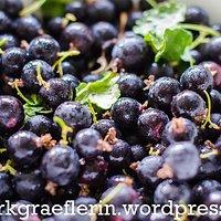 Jostabeeren-Marmelade
