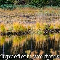 Ein ausflug zum nonnenmattweiher und einkehr bei der fischerhütte