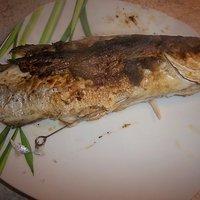 Wolfsbarsch (loup de mer) mit zitronen- dillsauce und kapern