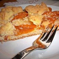 Aprikosenkuchen mit Kokosstreuseln