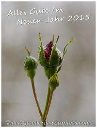 Alles gute für 2015 – happy new year 2015!