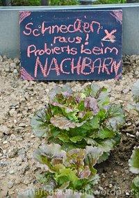 Tag der offenen gärten und höfe – teil 5: in britzingen heisst’s "schnecken raus.!".