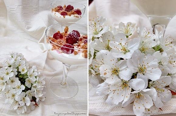 Sommerliche mascarpone creme mit himbeeren und amarettinibröseln