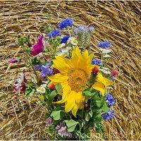 Ein Strauss aus bunten Sommerblumen
