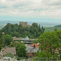Wanderung mit geologie und bergbaugeschichte – badenweiler