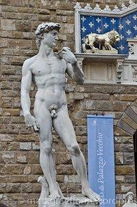 David