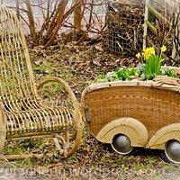 Aus meinem garten – märz