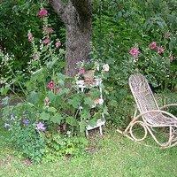 Aus meinem garten – stockrosen und glockenblume