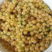 Weiße johannisbeeren – weisses johannisbeergelee mit martini bianco