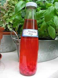 Johannisbeeressig