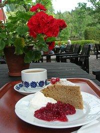 Marbackakaka (swedish cake with skrädmjöl) schwedischer kuchen mit geröstetem hafermehl