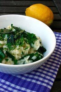 Zitronen-zuckerschoten-risotto / rezension: citrus