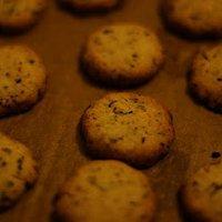 Plätzchen-special: earl-grey-taler