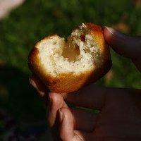 Zitronenmuffins