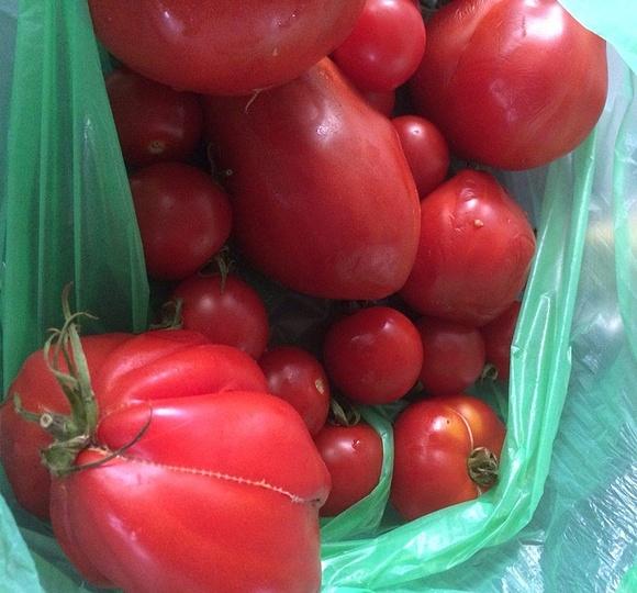 Wir kochen mit wodka: tomatenjelly mit basilikum