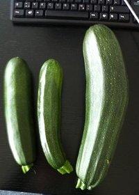 Zucchini-feta-creme für sandwiches, pasta und als dip!
