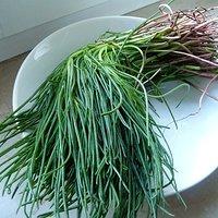 Barba di frate – Mönchsbart