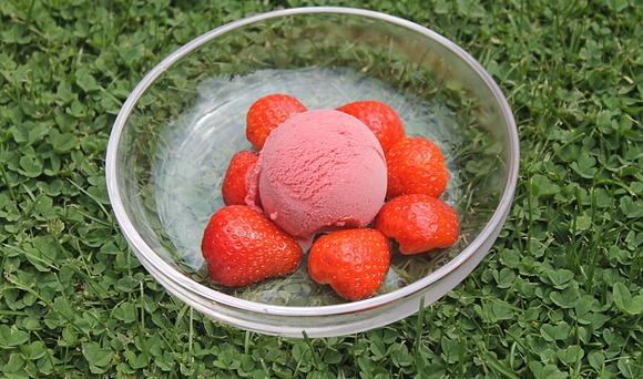 Erdbeer-Sahne-Eis eifrei