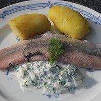 Rezept: Matjes mit Dill-Joghurtsauce