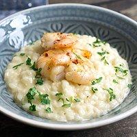 Parmesan-Risotto mit Garnelen