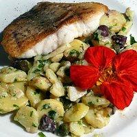 Dorade kross gebraten an lauwarmem Kartoffelsalat