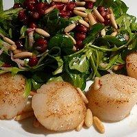 Scallops an Granatapfelsalat