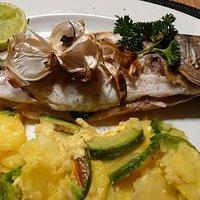 Wolfsbarsch auf Avocado-Kartoffel-Gratin