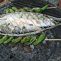 Saibling gegrillt mit Arganöl und Wildkräutersalat