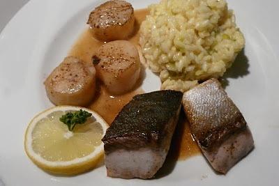 Gelbschwanzmakrele mit Jakobsmuscheln und Orangen-Safran-Risotto