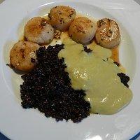 Jakobsmuscheln mit Venere-Risotto und Knoblauchsauce