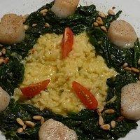 Jakobsmuscheln mit frischem Spinat und Safranrisotto