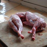 Lapin en blanc – ganzes kaninchen geschmort in weiß zu spaghetti