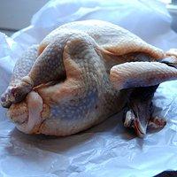Das pintade huhn mit den schwarzen beinen aus dem ofen mit rosmarin & knoblauch gespickt