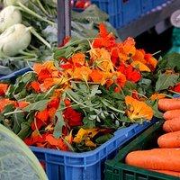 Sommersalate – {tiwwl}